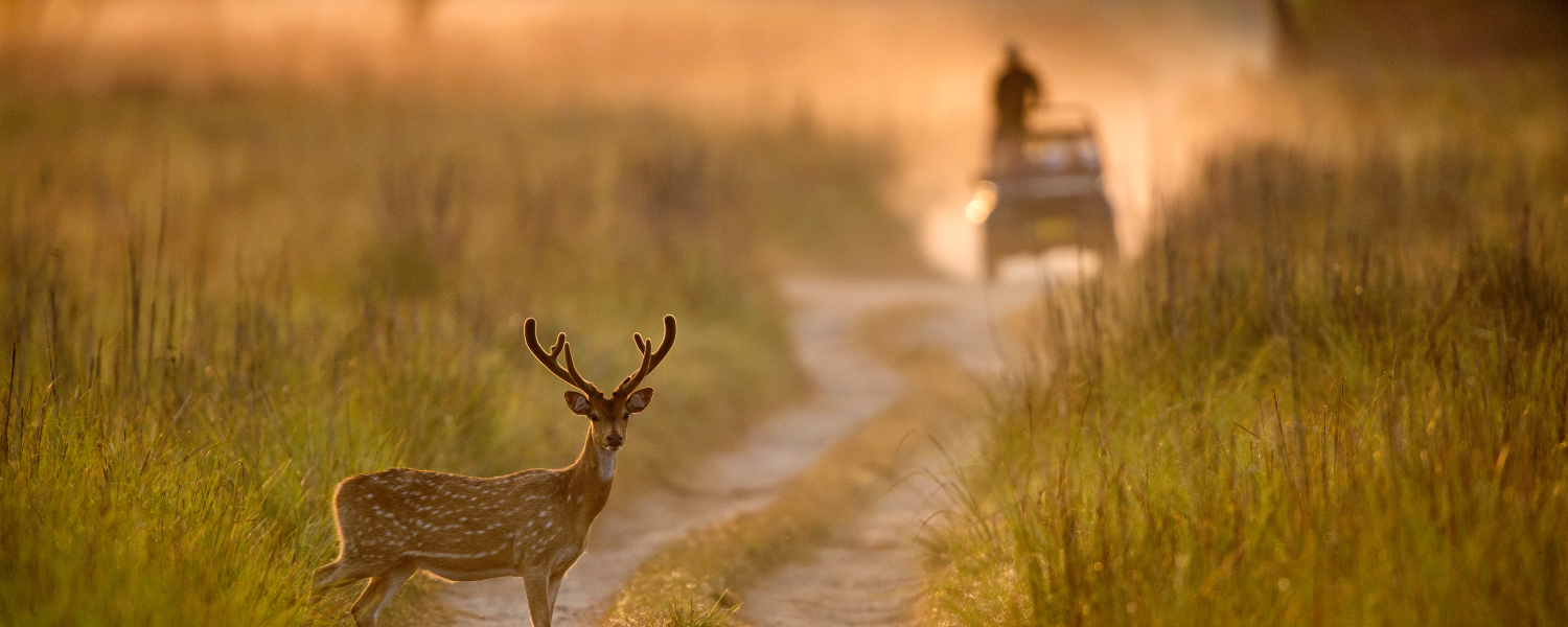 4 Days Corbett Nainital Tour Package