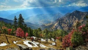 Kausani Tour Packages