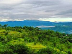 Ranikhet tour packages from delhi