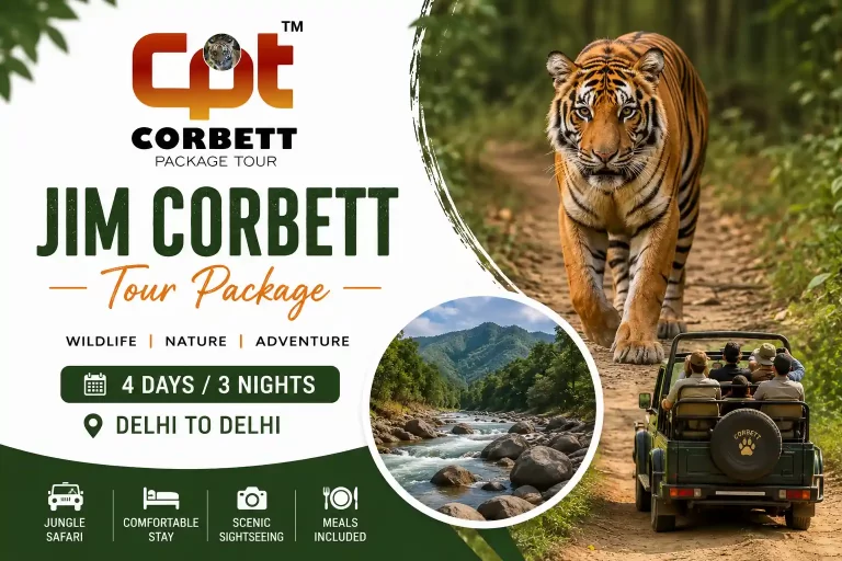 Jim Corbett Tour Package