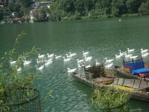 nainital mukteswar tour packages