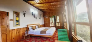 Himalaya Pahadi Palace