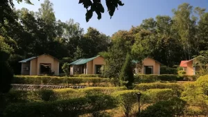 parwati wild abode corbett resort
