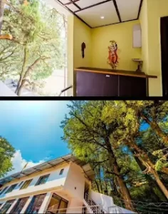 Pinewood Mussoorie