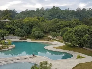 Tiger Camp Resort